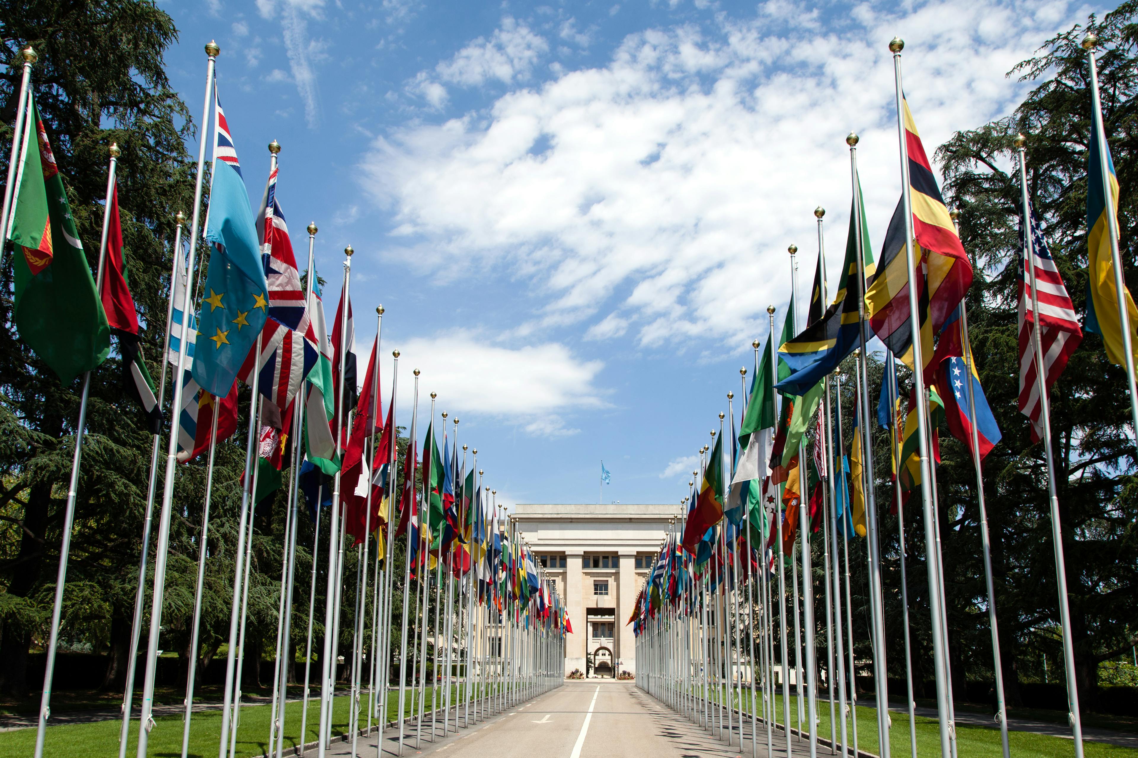 image of the United Nations driveway